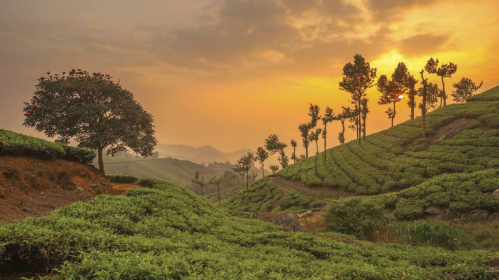 munnar attractions