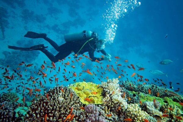 Diving, Havelock Island