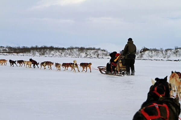 Abisko National Park: Sled Dog Rides: Winter Destinations