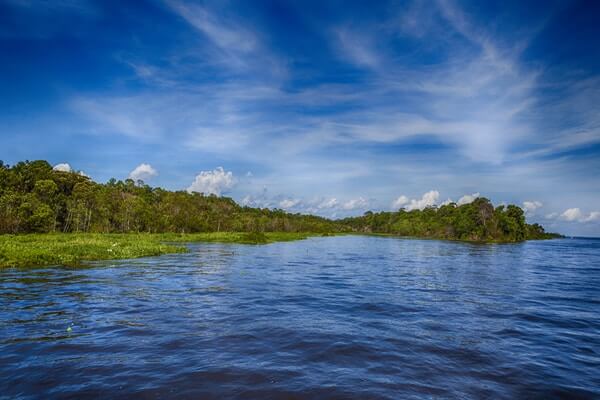  Amazonia National Park, Places To Visit in Brazil