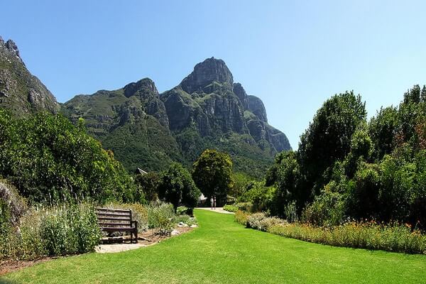 Kirstenbosch National Botanical Garden, Places To Visit In South Africa