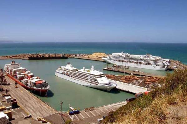  Cruises tour at Napier,places to visit in New Zealand