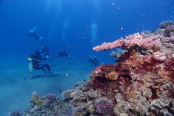 Egypt, Red Sea,best places to scuba dive in the world