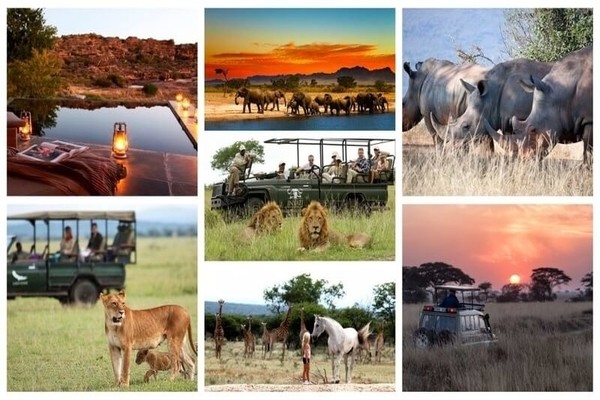 Famous African Safari