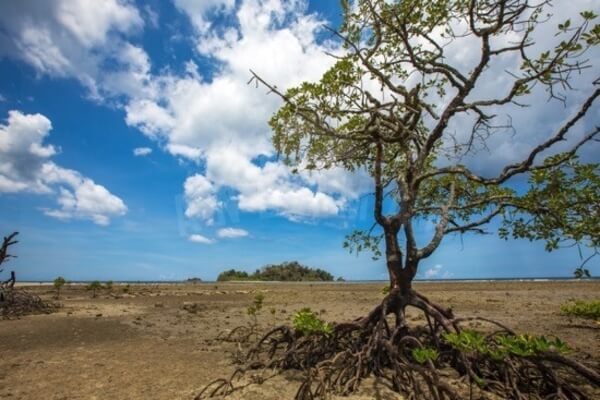 Kalipur Beach, Places to visit in Andaman and Nicobar