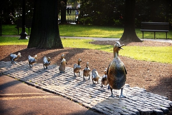 Make Way For Duckling, Boston; boston top attractions
