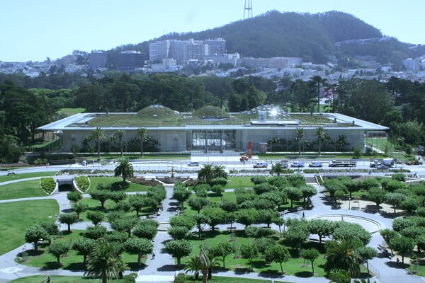 california academy of sciences, places to visit in san francisco
