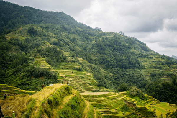Cordilleras' Rice Terraces, places to visit in philippines
