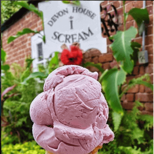 Devon i Scream Parlour which is a subordinate of Devon house, best place to have some unique ice creams