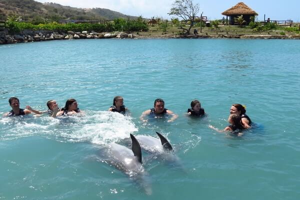 Visitors playing with dolphins in  Dolphin Cove