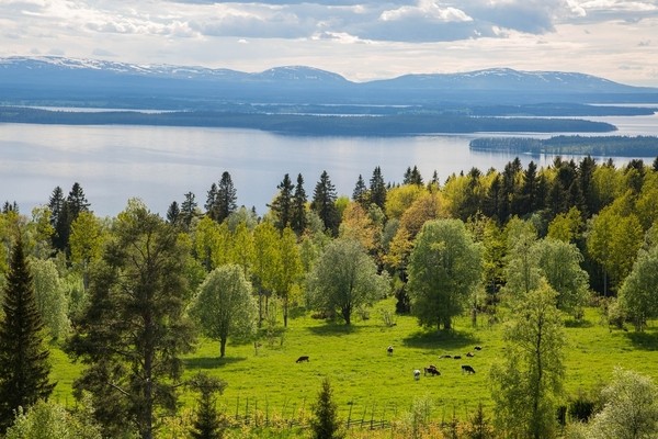 10 best things are Sweden Mostly Known For;Landscapes