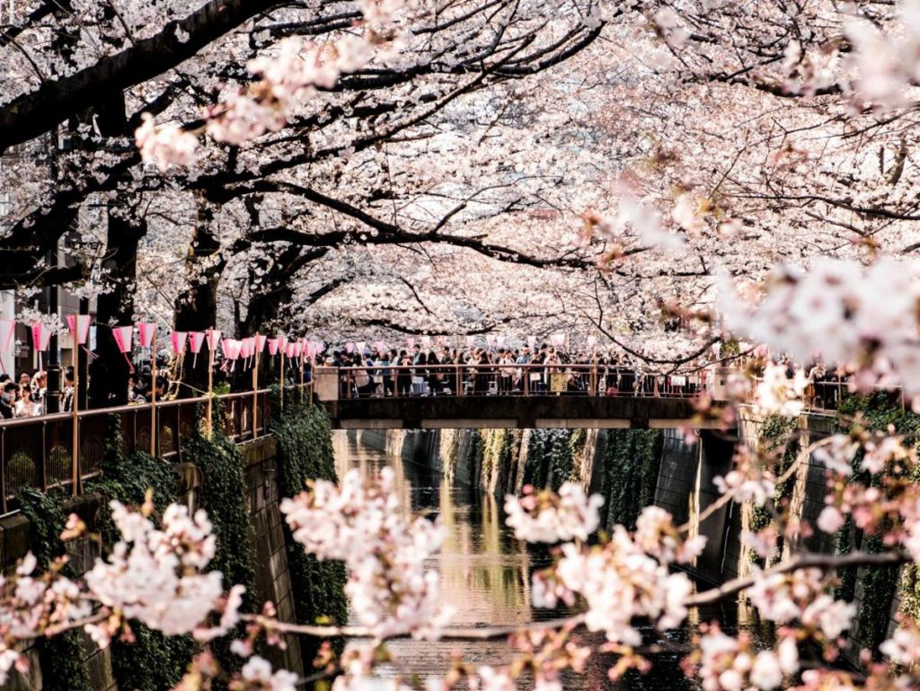 Springs in Tokyo