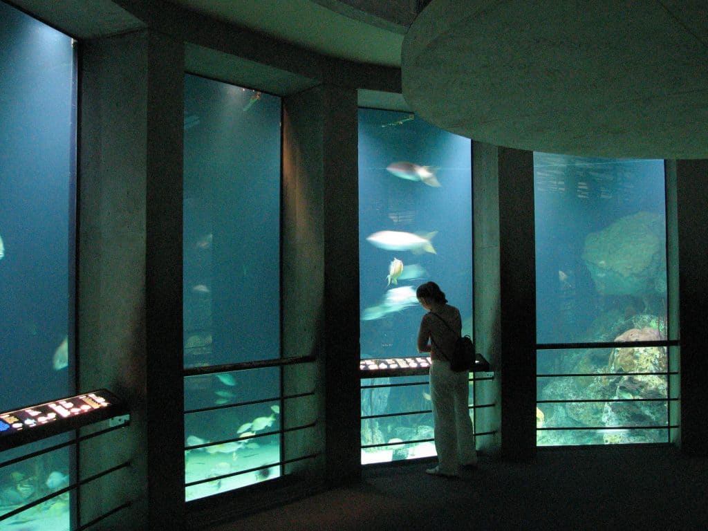 Baltimore Aquarium;Best day trip from DC.