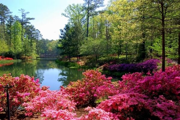 Callaway Gardens, best day trips from Atlanta