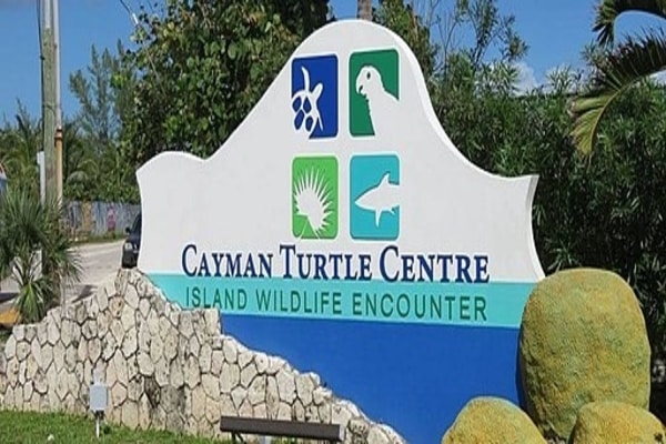Cayman Turtle Centre, a tourist attraction