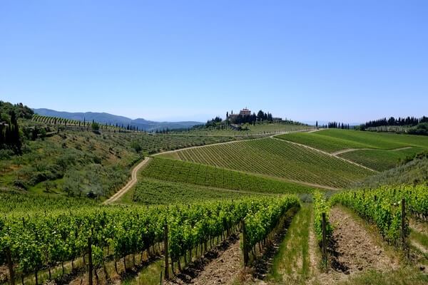 Chianti, half-day wine tour from Florence