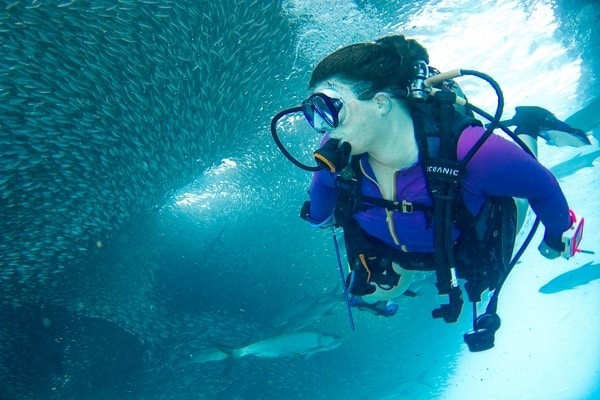 Amazing underwater coral ocean park, St. Thomas, U.S Virgin Islands