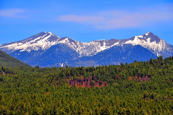 Top-Rated Day Trips from Phoenix a Wonderful City;Flagstaff