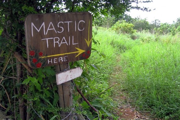 Mastic Trail, a must in Cayman Islands