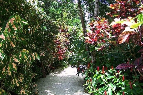 Queen Elizabeth II Botanic Park, One of the best places to visit in Cayman Islands