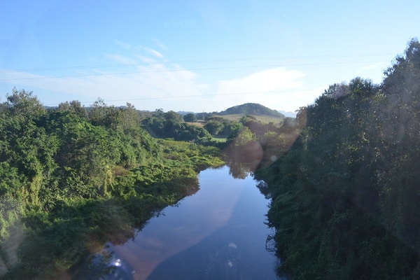 Cuyaguateje River