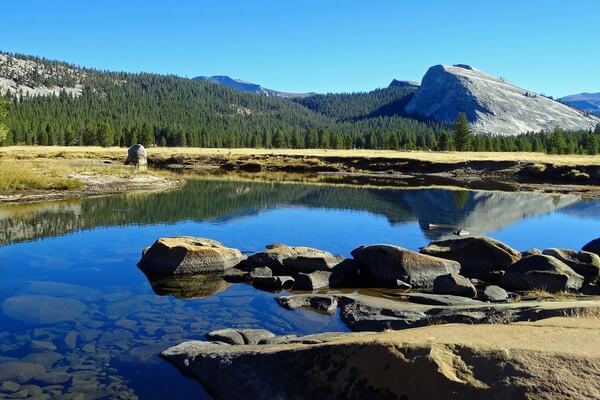 Tuolumne Meadows;  Campsites In Yosemite