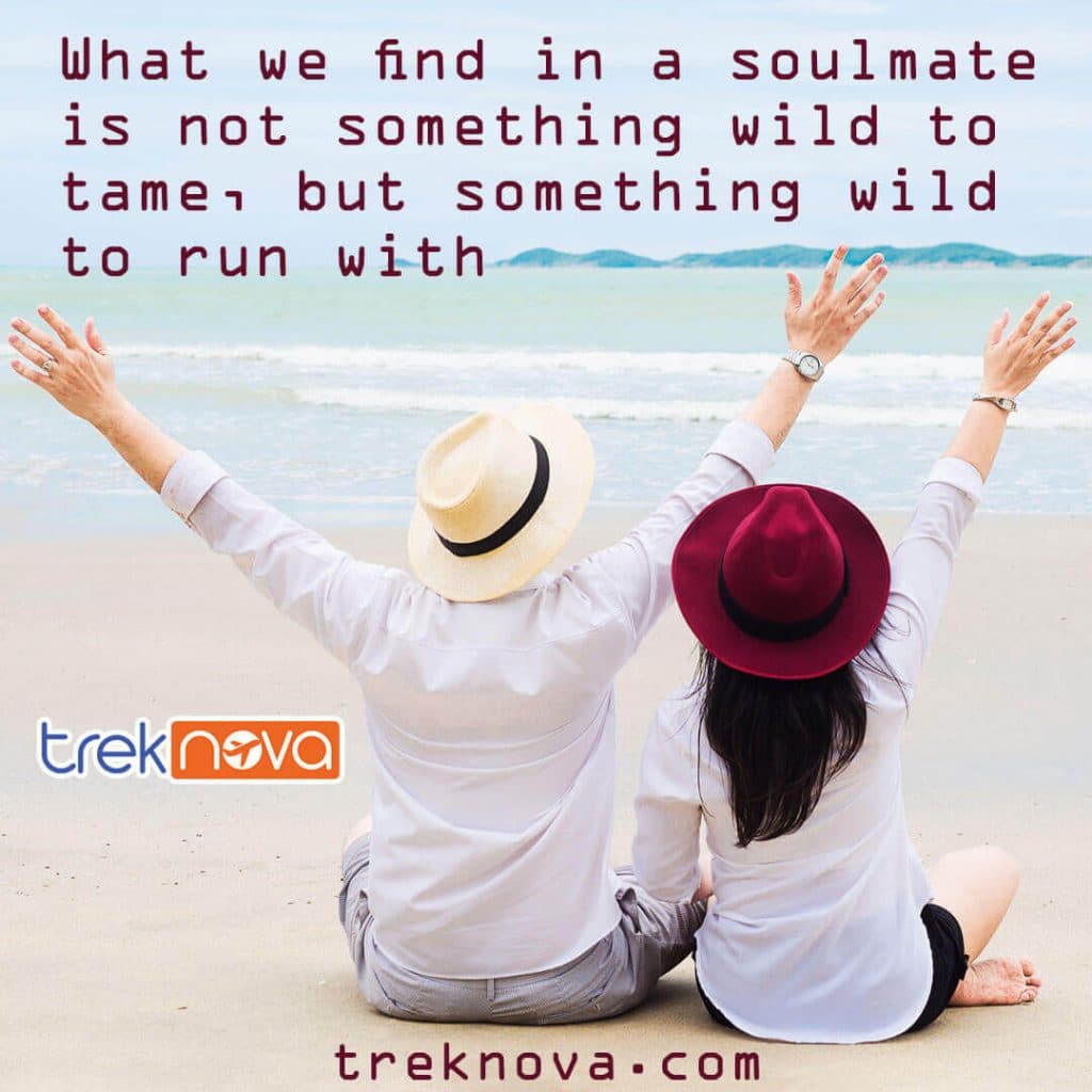 What we find in a soulmate is not something wild to tame