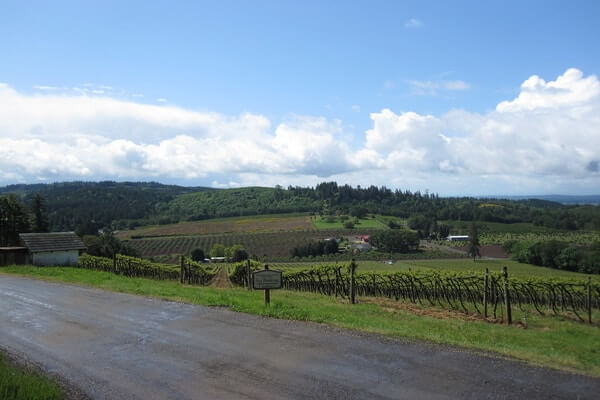 Willamette Valley, great day trip from Portland