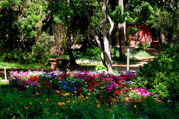 Zilker Botanical garden; Best Day Trips From Austin