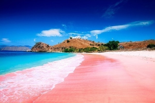 Relax on the pink sand beaches