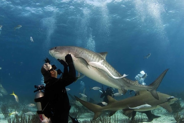 Popular and Best Things to do in the Bahamas a Wonderful Island;Snorkeling and Scuba Diving
