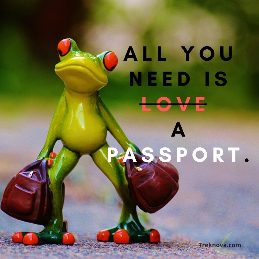 All you need is love a passport., Funny Travel Quotes