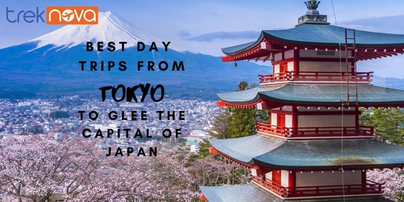 Best Day Trips From Tokyo