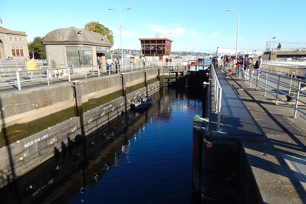 Hiram M Chittenden Locks;things to do in Seattle
