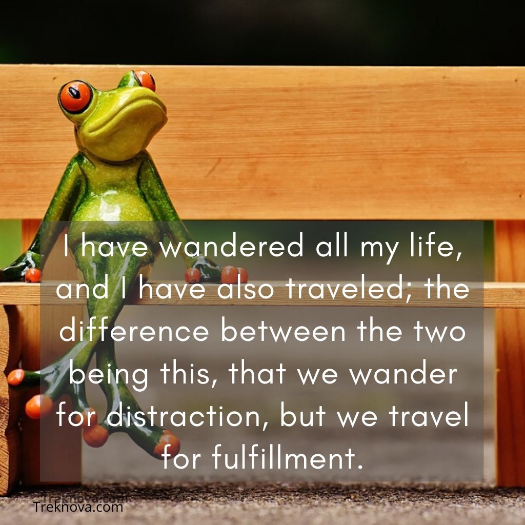 I have wandered all my life, and I have also traveled; the difference between the two being this, that we wander for distraction, but we travel for fulfillment., Funny Travel Quotes funny quotes about travelling with friends