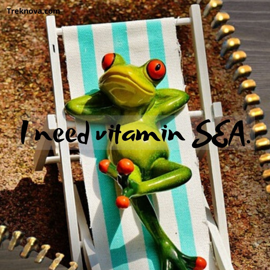 I need vitamin SEA., Funny Travel Quotes; funny quotes about travelling with friends