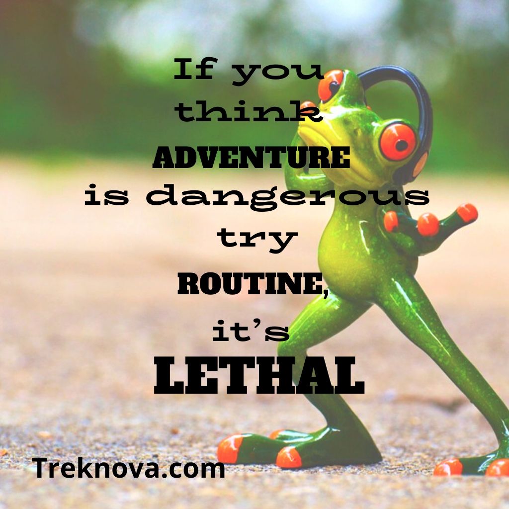 If you think adventure is dangerous try routine, it’s lethal. , Funny Travel Quotes; funny vacation quotes