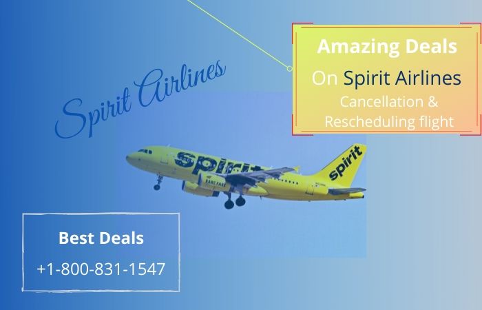 Spirit Airlines Cancellation