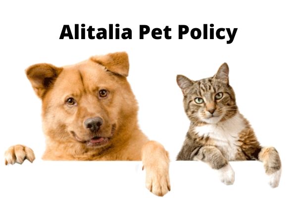 Alitalia Pet Policy