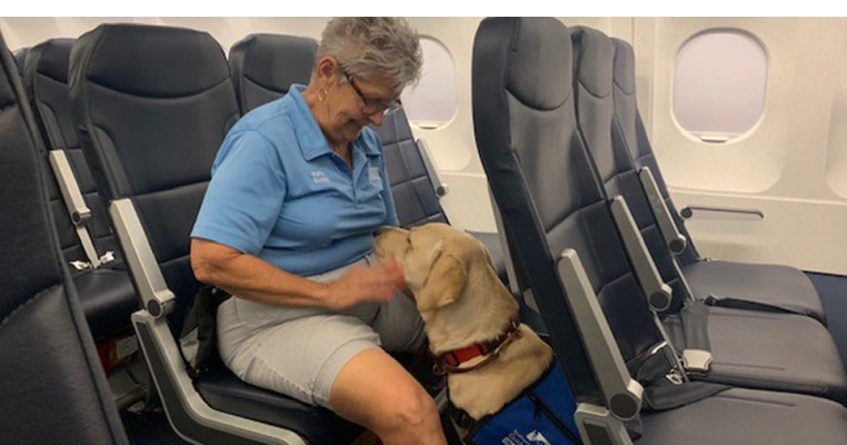 assistance dog, British Airways