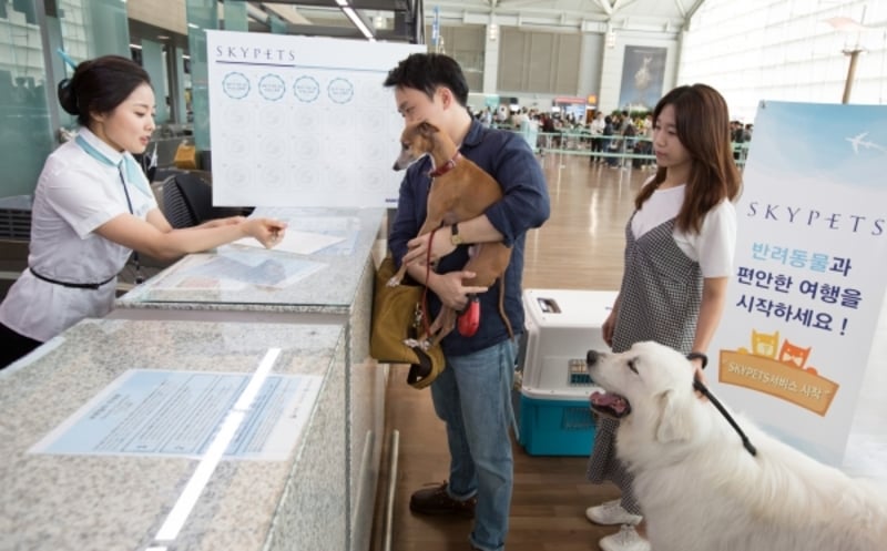 korean air pet policy