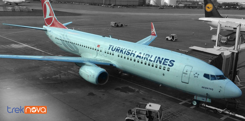Turkish Airlines Pet Policy