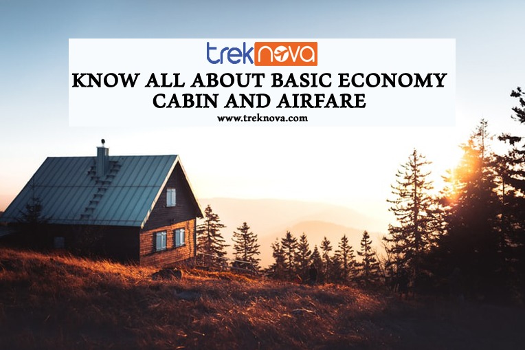 Know All About Basic Economy Cabin and Airfare