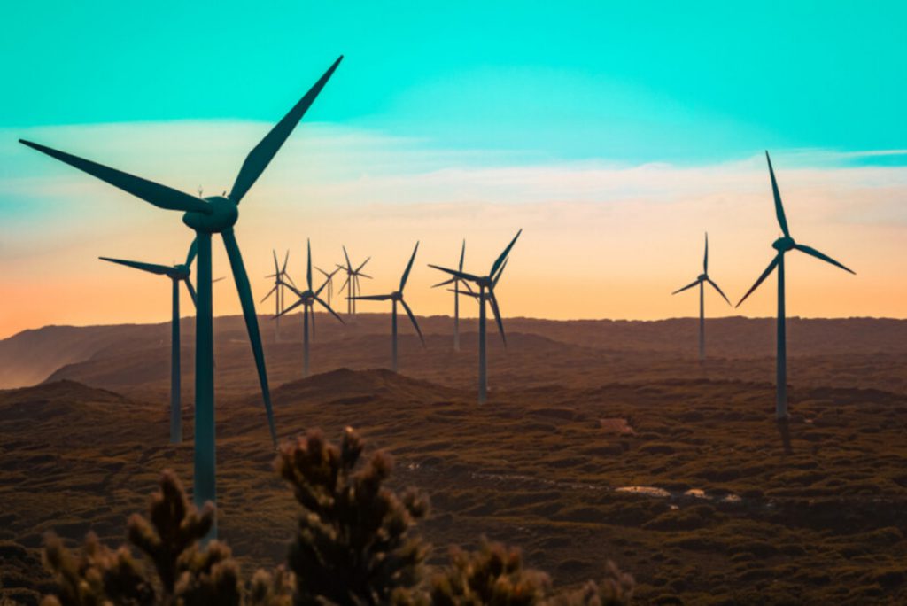 Albany Wind Farm