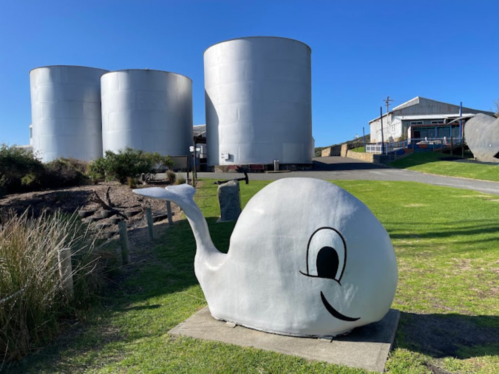 Historic Whaling Station Kids Attractions