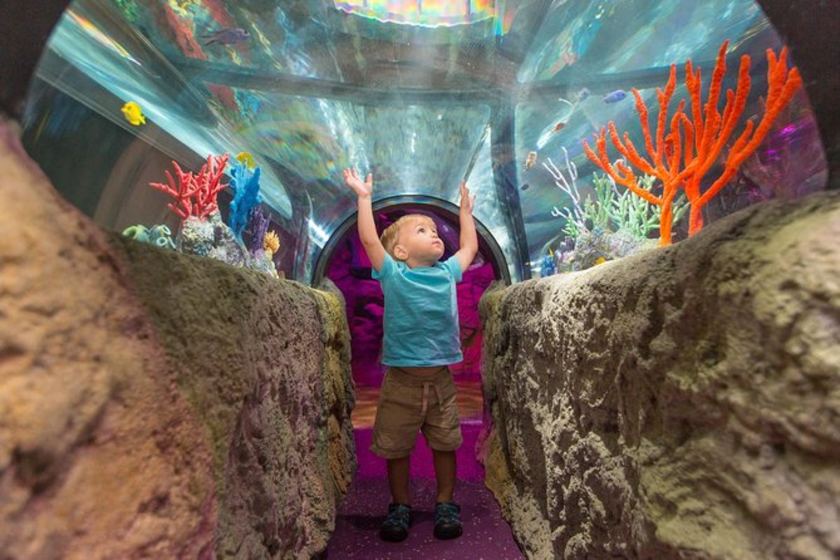 SeaLIFE Aquarium - One of the Unique Things To Do In Orlando