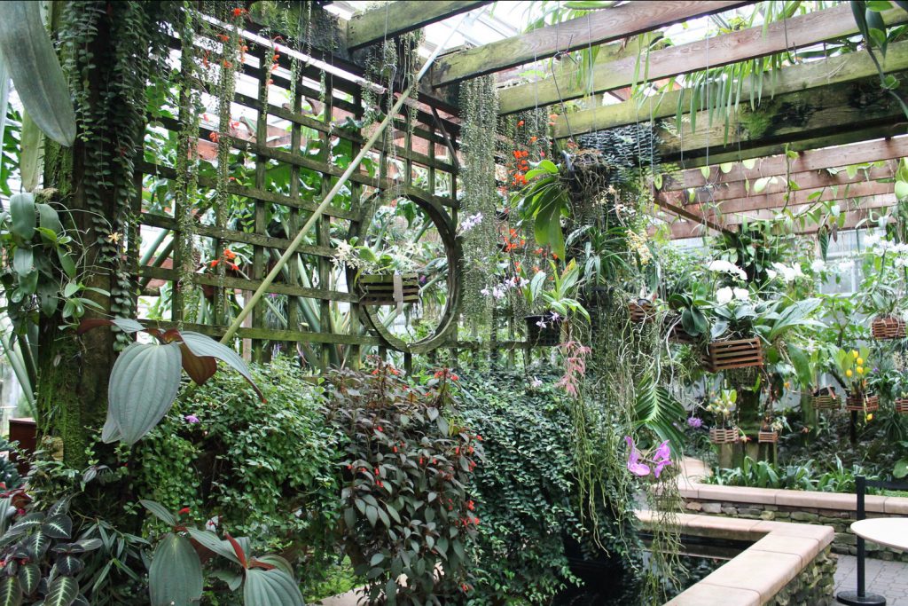 Atlanta Botanical Garden Orchid Center